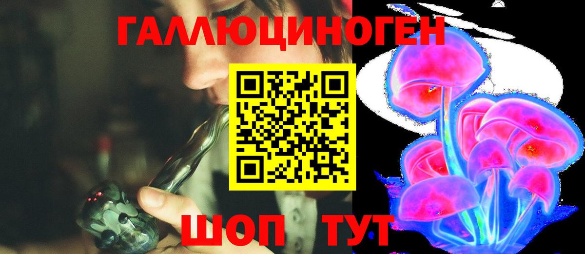 Галлюциногенные грибы Psilocybine cubensis  Вход с VPN  Новочеркасск 