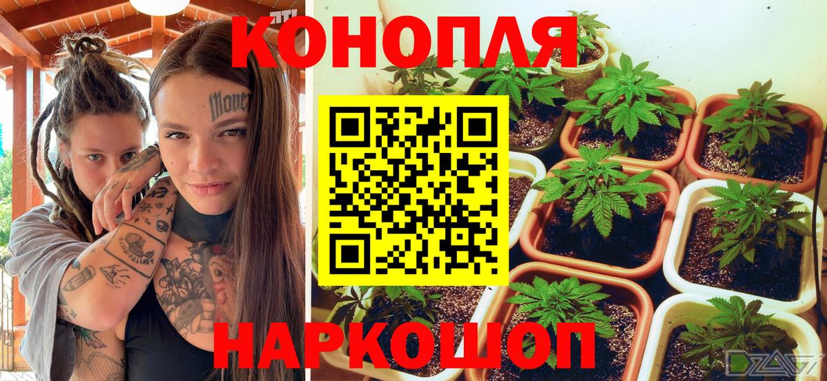 Бошки Шишки конопля  Шишки марихуана план  Каннабис индика  Вход с VPN  Шишки марихуана планчик  Новочеркасск 
